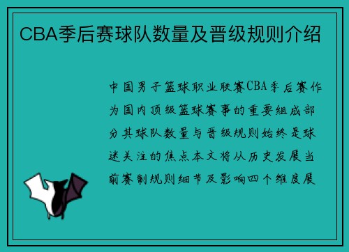 CBA季后赛球队数量及晋级规则介绍